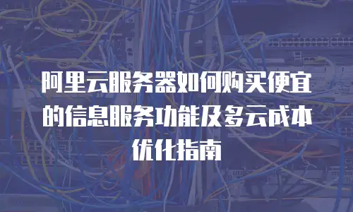 阿里云服务器如何购买便宜的信息服务功能及多云成本优化指南