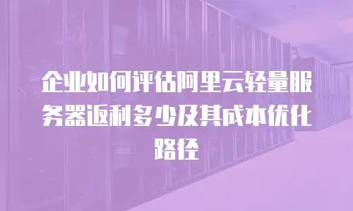 企业如何评估阿里云轻量服务器返利多少及其成本优化路径