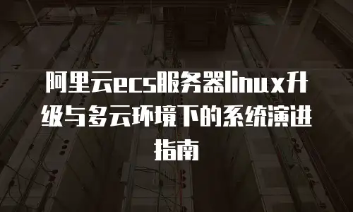 阿里云ecs服务器linux升级与多云环境下的系统演进指南