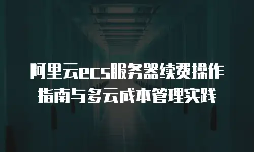 阿里云ecs服务器续费操作指南与多云成本管理实践