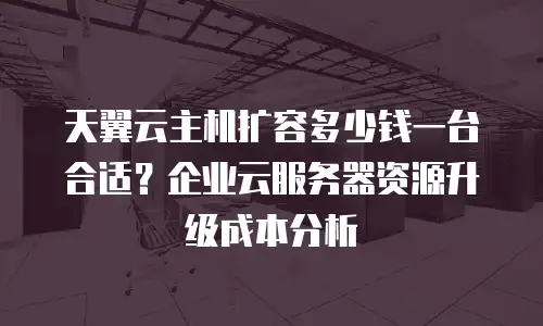 天翼云主机扩容多少钱一台合适？企业云服务器资源升级成本分析