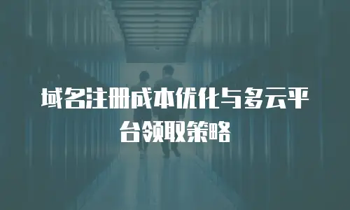 域名注册成本优化与多云平台领取策略