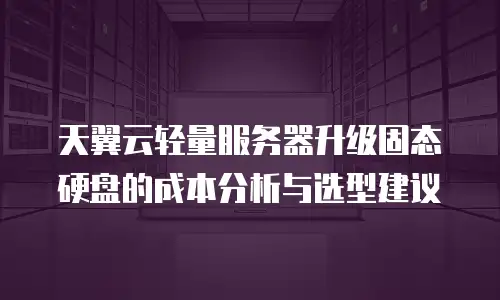 天翼云轻量服务器升级固态硬盘的成本分析与选型建议