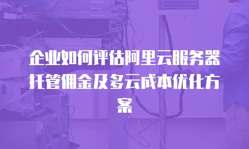 企业如何评估阿里云服务器托管佣金及多云成本优化方案