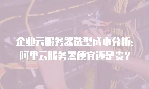 企业云服务器选型成本分析：阿里云服务器便宜还是贵？