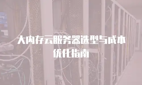 大内存云服务器选型与成本优化指南