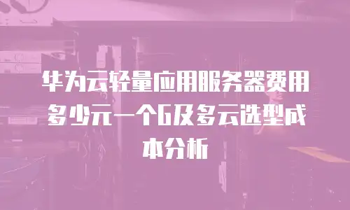 华为云轻量应用服务器费用多少元一个G及多云选型成本分析