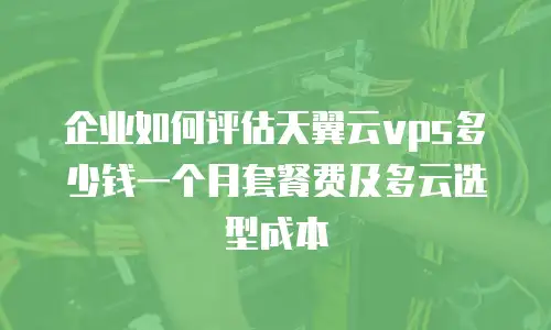 企业如何评估天翼云vps多少钱一个月套餐费及多云选型成本