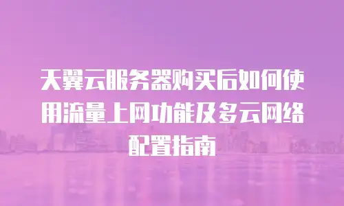 天翼云服务器购买后如何使用流量上网功能及多云网络配置指南
