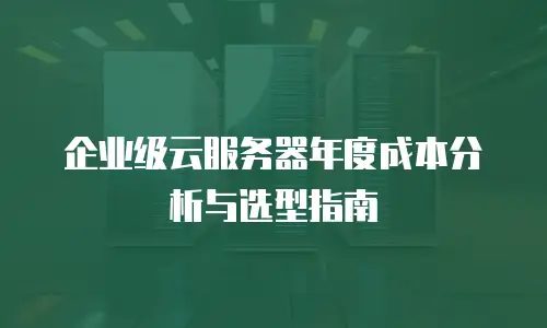 企业级云服务器年度成本分析与选型指南