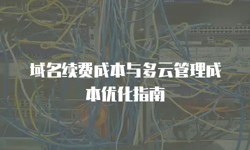 域名续费成本与多云管理成本优化指南