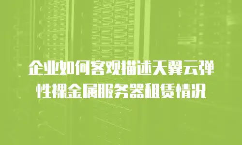 企业如何客观描述天翼云弹性裸金属服务器租赁情况