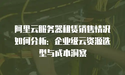 阿里云服务器租赁销售情况如何分析：企业级云资源选型与成本洞察