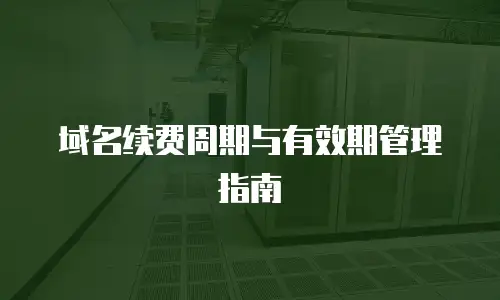 域名续费周期与有效期管理指南