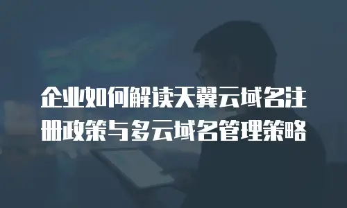 企业如何解读天翼云域名注册政策与多云域名管理策略