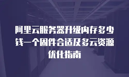 阿里云服务器升级内存多少钱一个固件合适及多云资源优化指南