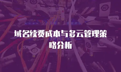 域名续费成本与多云管理策略分析