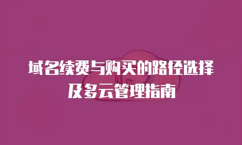 域名续费与购买的路径选择及多云管理指南