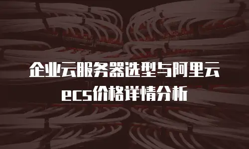 企业云服务器选型与阿里云ecs价格详情分析