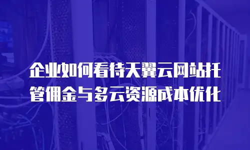 企业如何看待天翼云网站托管佣金与多云资源成本优化