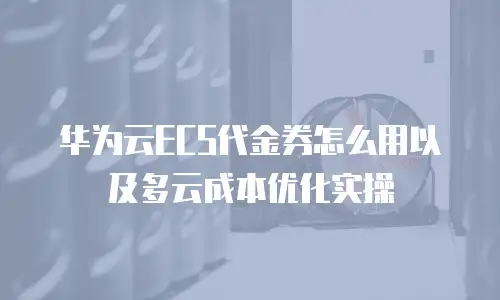 华为云ECS代金券怎么用以及多云成本优化实操