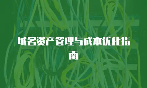 域名资产管理与成本优化指南