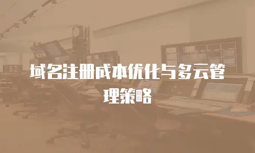 域名注册成本优化与多云管理策略
