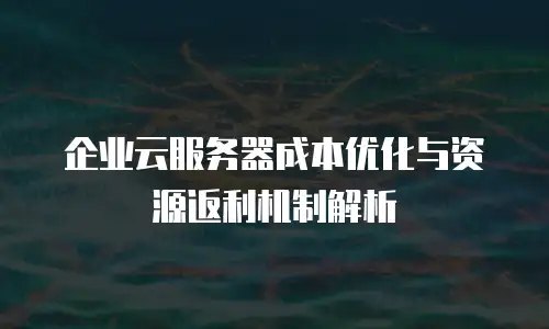 企业云服务器成本优化与资源返利机制解析