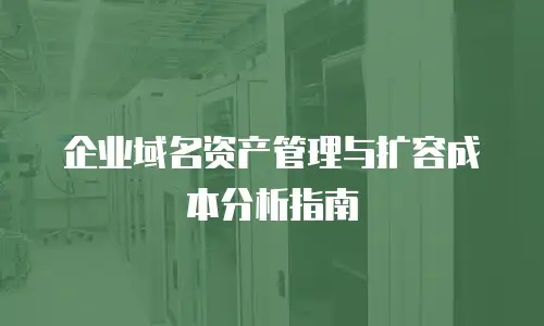企业域名资产管理与扩容成本分析指南