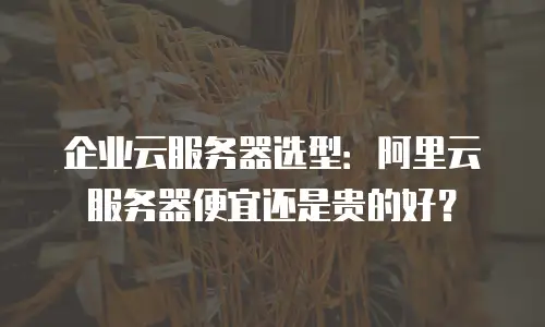 企业云服务器选型：阿里云服务器便宜还是贵的好？
