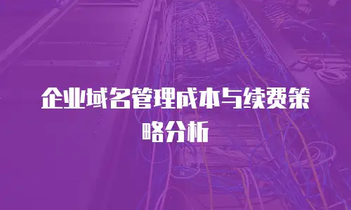 企业域名管理成本与续费策略分析