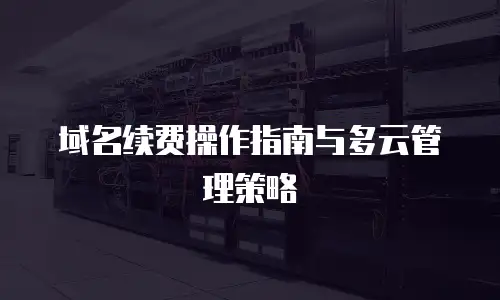 域名续费操作指南与多云管理策略