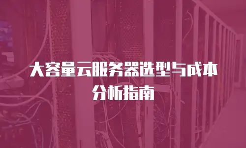 大容量云服务器选型与成本分析指南