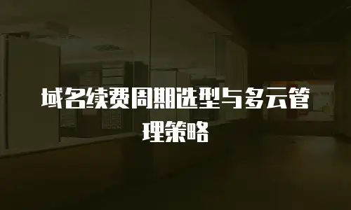 域名续费周期选型与多云管理策略