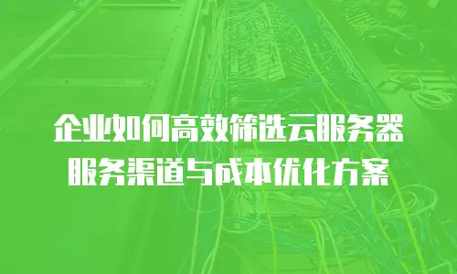 企业如何高效筛选云服务器服务渠道与成本优化方案