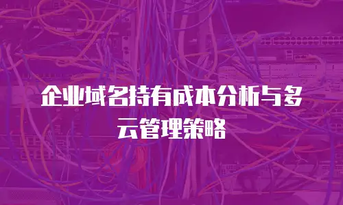 企业域名持有成本分析与多云管理策略