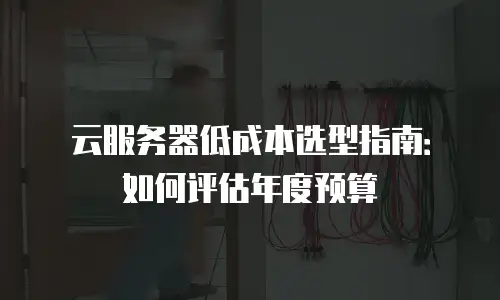 云服务器低成本选型指南：如何评估年度预算