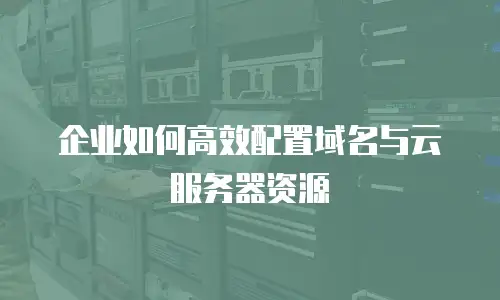 企业如何高效配置域名与云服务器资源