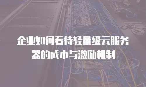 企业如何看待轻量级云服务器的成本与激励机制