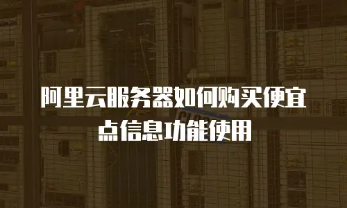阿里云服务器如何购买便宜点信息功能使用