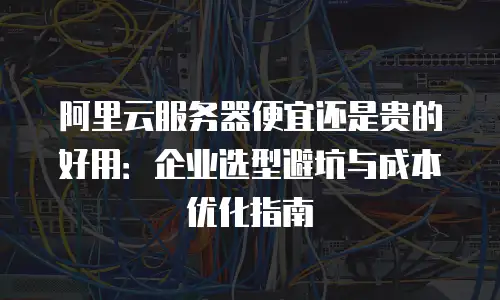 阿里云服务器便宜还是贵的好用：企业选型避坑与成本优化指南