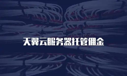 天翼云服务器托管佣金