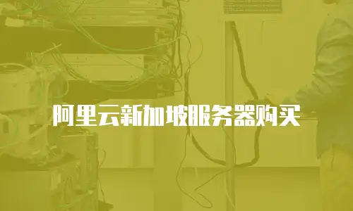 阿里云新加坡服务器购买