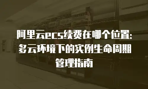 阿里云ecs续费在哪个位置：多云环境下的实例生命周期管理指南