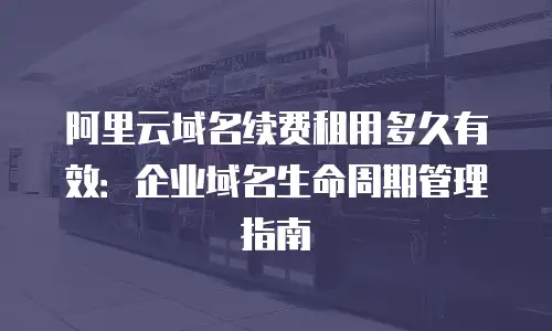 阿里云域名续费租用多久有效：企业域名生命周期管理指南