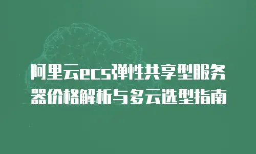 阿里云ecs弹性共享型服务器价格解析与多云选型指南