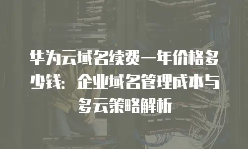 华为云域名续费一年价格多少钱：企业域名管理成本与多云策略解析