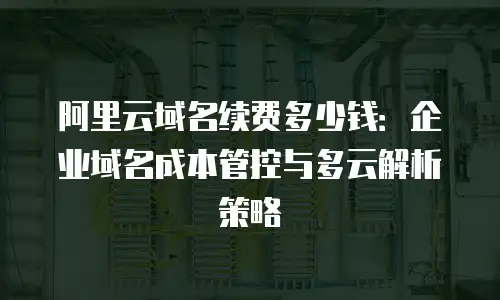阿里云域名续费多少钱：企业域名成本管控与多云解析策略