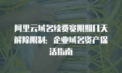 阿里云域名续费宽限期几天解除限制：企业域名资产保活指南