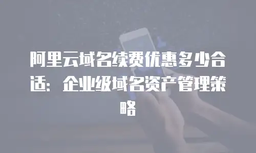 阿里云域名续费优惠多少合适：企业级域名资产管理策略